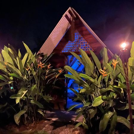 Bewak Cr Otel Tortuguero Dış mekan fotoğraf