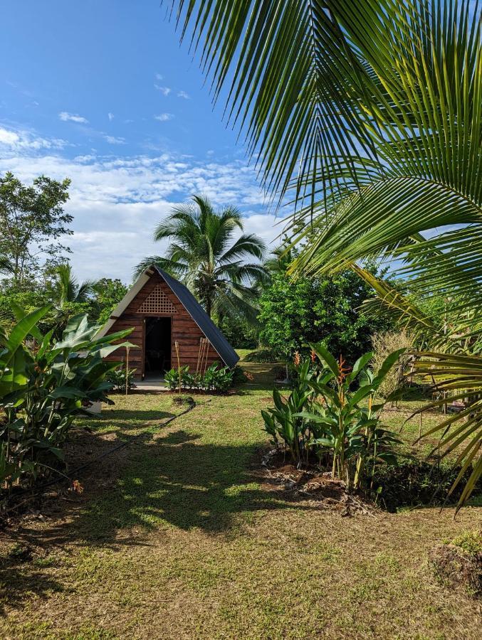 Bewak Cr Otel Tortuguero Dış mekan fotoğraf