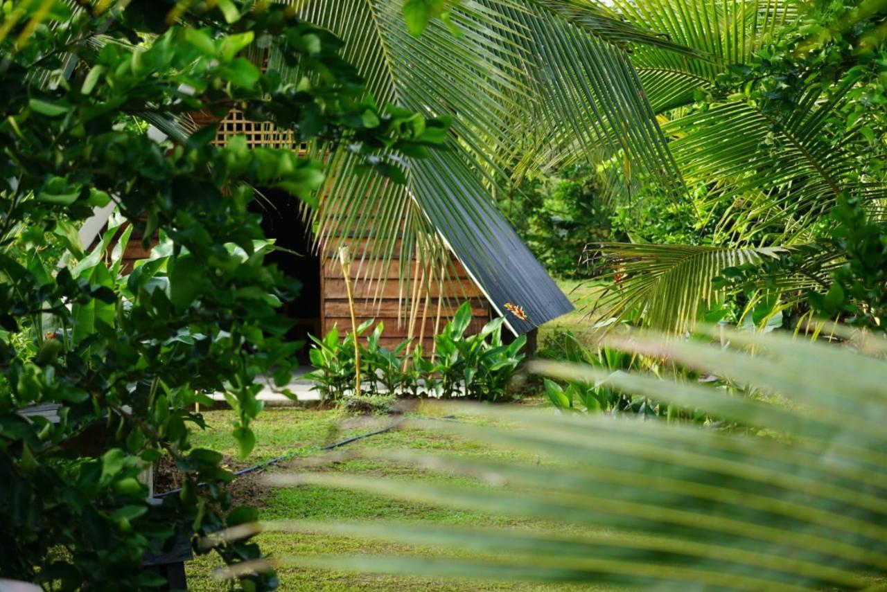 Bewak Cr Otel Tortuguero Dış mekan fotoğraf