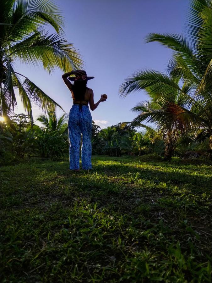 Bewak Cr Otel Tortuguero Dış mekan fotoğraf