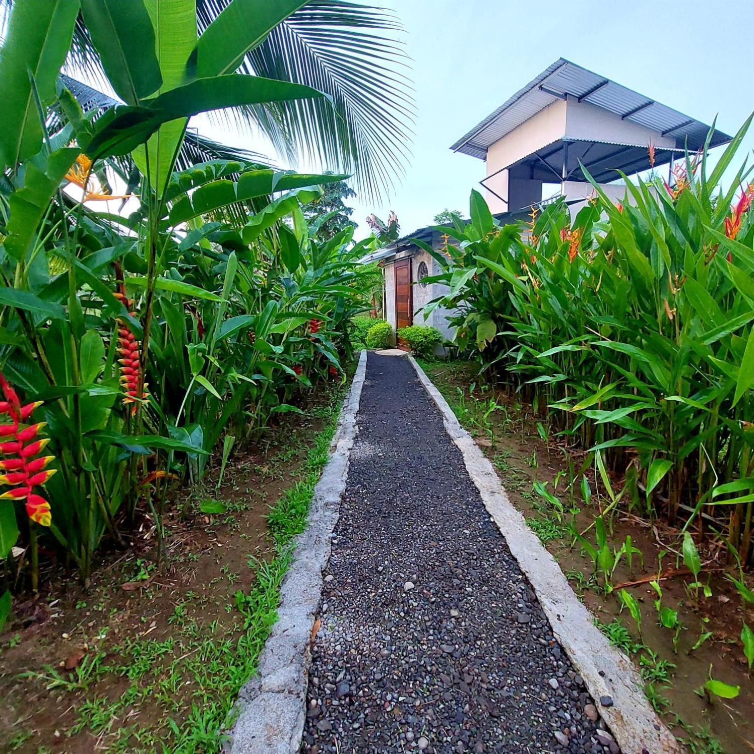 Bewak Cr Otel Tortuguero Dış mekan fotoğraf