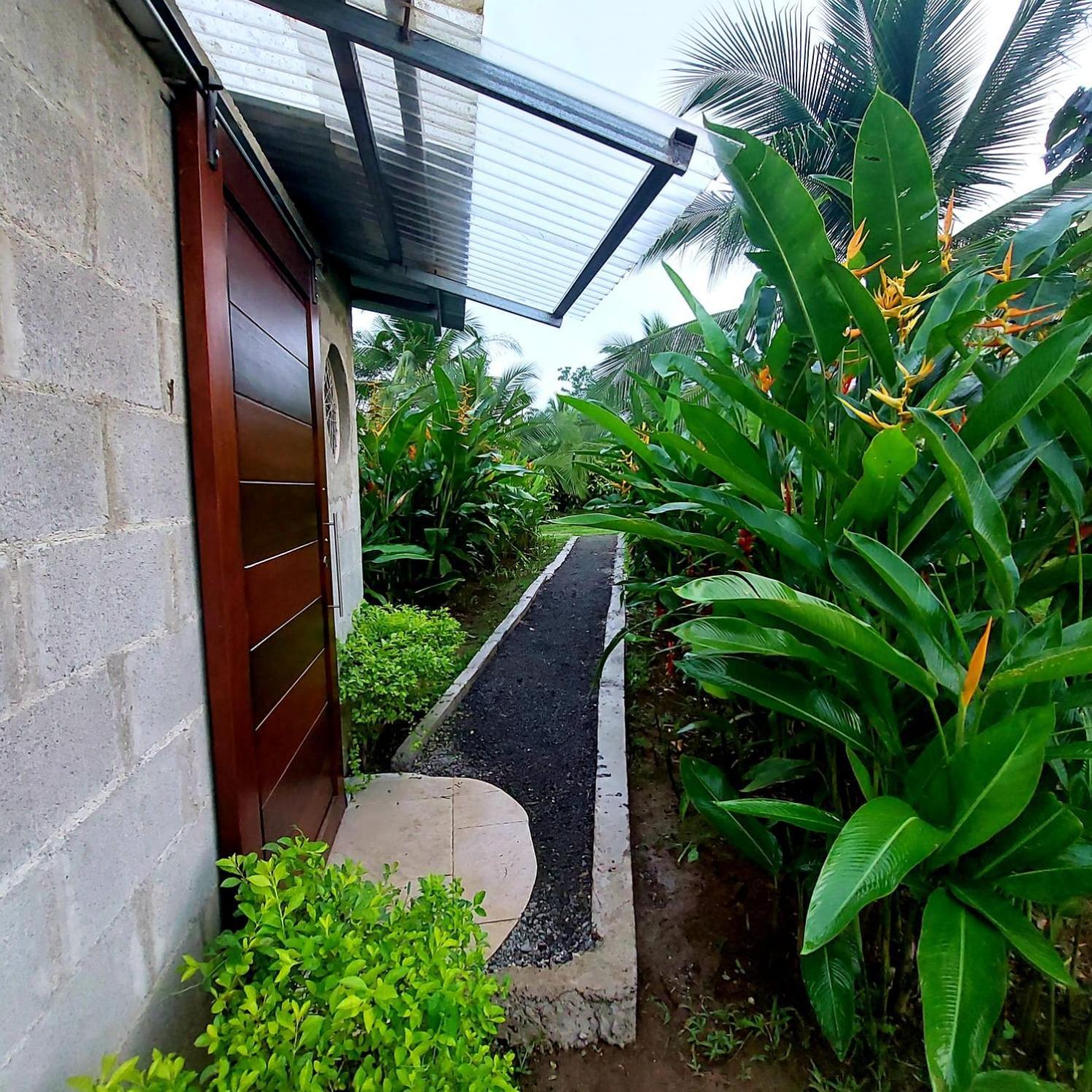 Bewak Cr Otel Tortuguero Dış mekan fotoğraf